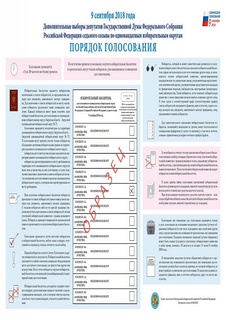 Образец заполнения бюллетеня 2024. Порядок голосования на выборах. Голосование по одномандатным округам. Порядок голосования на местных выборах. Плакат порядок заполнения избирательного бюллетеня.