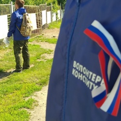 Волонтёры Конституции